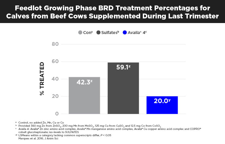 Bovine Respiratory Disease Response to Trace Mineral Supplements Research Data