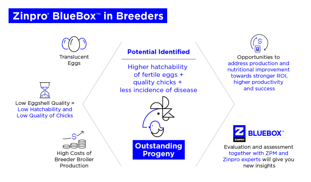 Zinpro Bluebox in Breeders Image