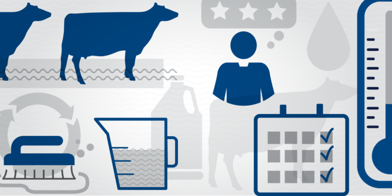 Graphic showing keys to cattle footbath effectiveness