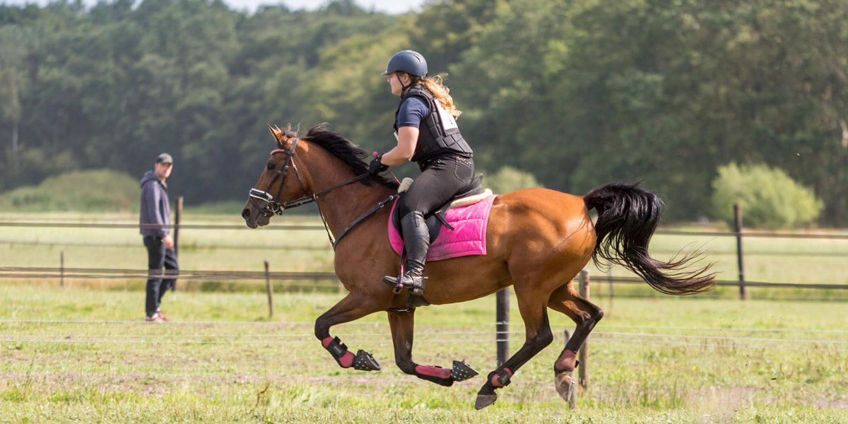 Horse being ridden in a field.