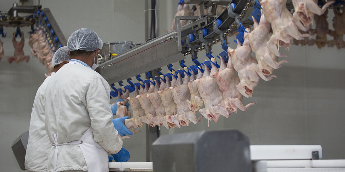 Poultry Processing