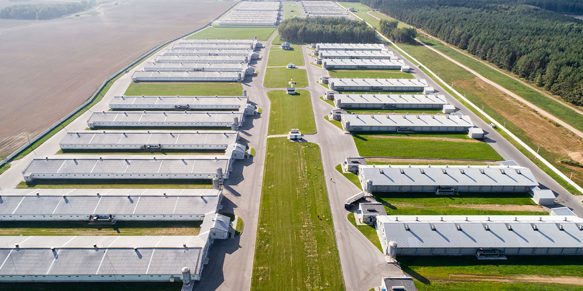 Swine Farm Aerial View