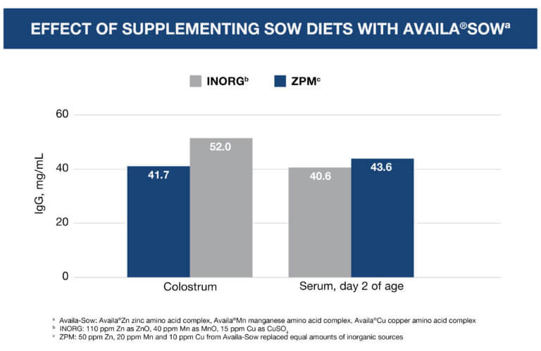 Trace Minerals Can Counter Reproductive Problems in Swine – Zinpro®