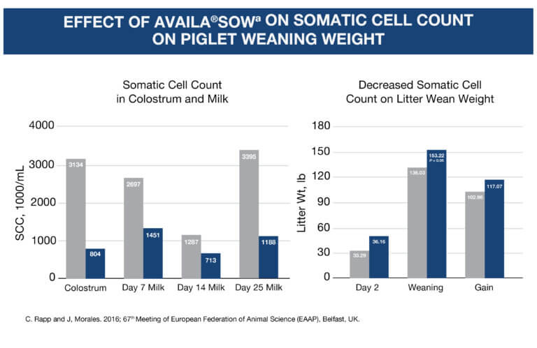 Trace Minerals Can Counter Reproductive Problems in Swine – Zinpro®