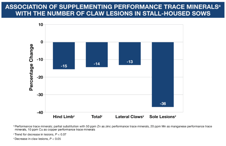 Trace Minerals Can Counter Reproductive Problems in Swine – Zinpro®