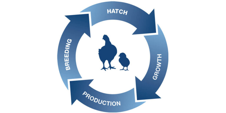 Poultry Lifetime Performance logo.