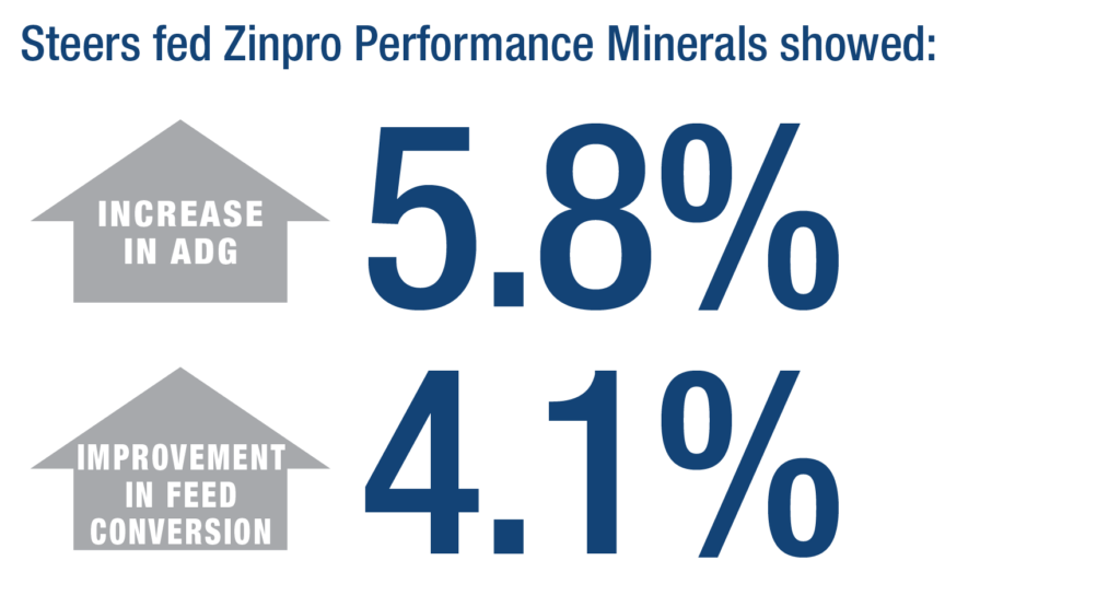 Zinpro Lifetime Performance® Improves Every Production Stage in