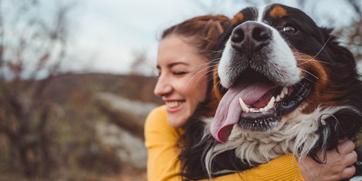 Pet parent hugging a dog from behind.