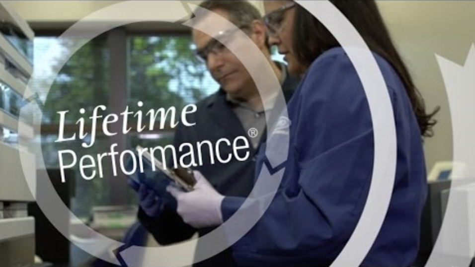 Zinpro Lifetime Performance® Improves Every Production Stage in