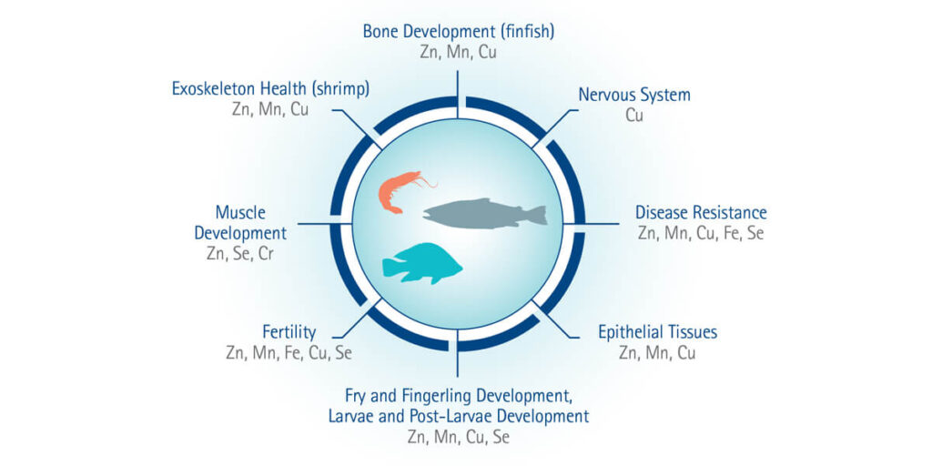Chart showing aquaculture trace minerals in fish and shrimp diets