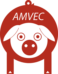 ZNGL0010_Image_AMVEC-2022-1-1