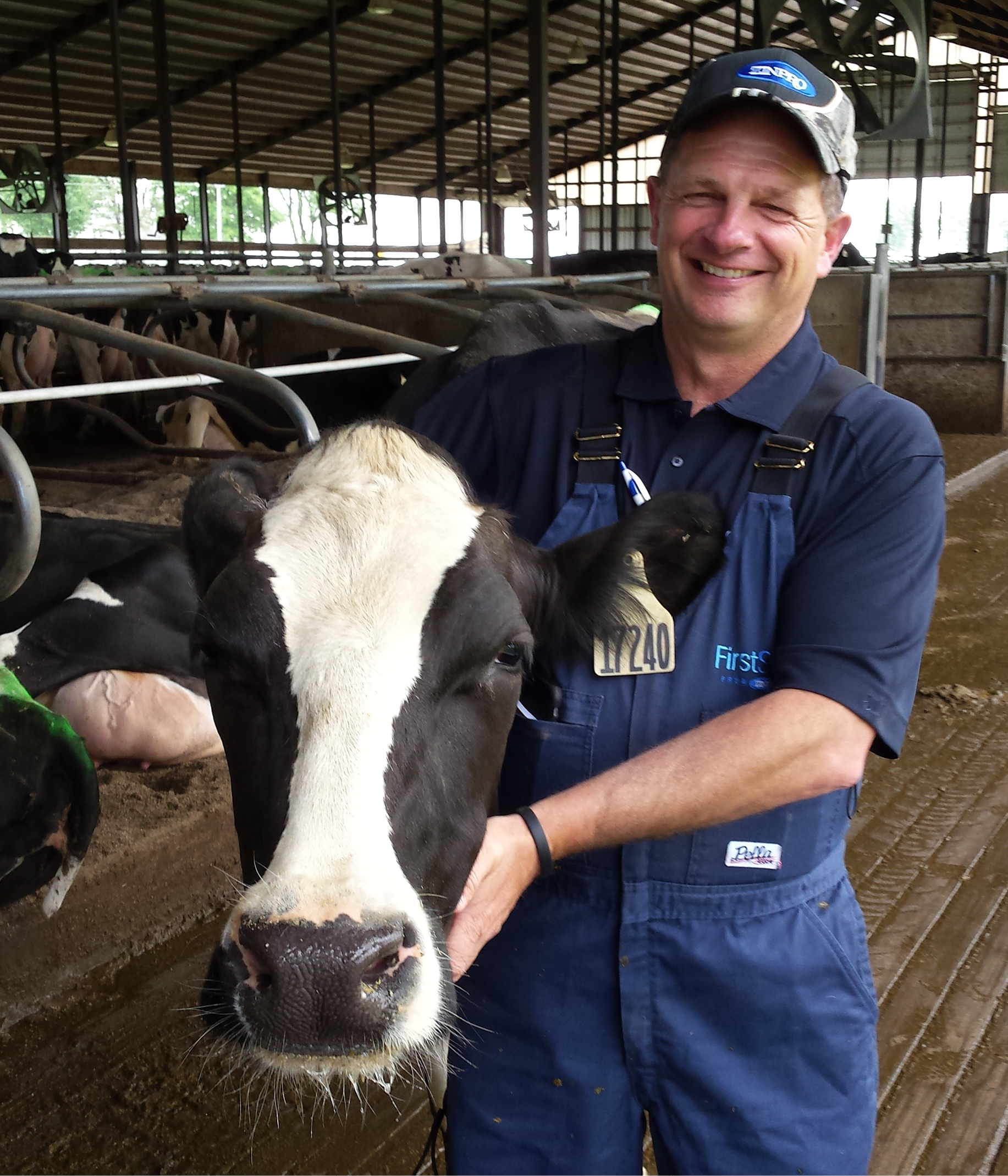 Dairy cow with farmer