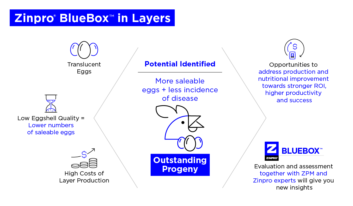 Only the Zinpro® BlueBox™ Tells the Full Story of Eggshell Translucency
