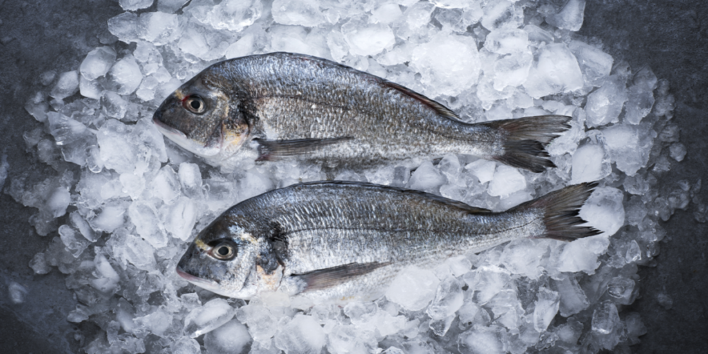 Organic Selenium in Fish Nutrition for Improved Stress Response l Zinpro