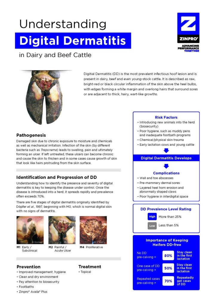 Zinpro-Availa-Plus-and-DD_Page_1