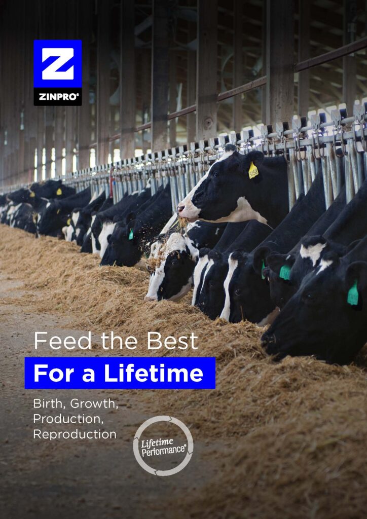 Zinpro_Lifetime-Performance_Page_1