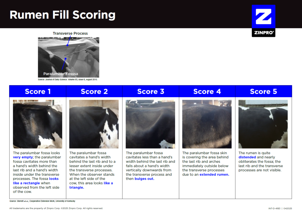 Rumen Fill Scoring Cover