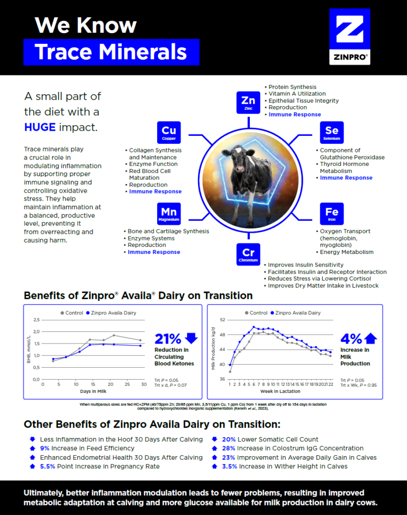 We Know Trace Minerals Cover