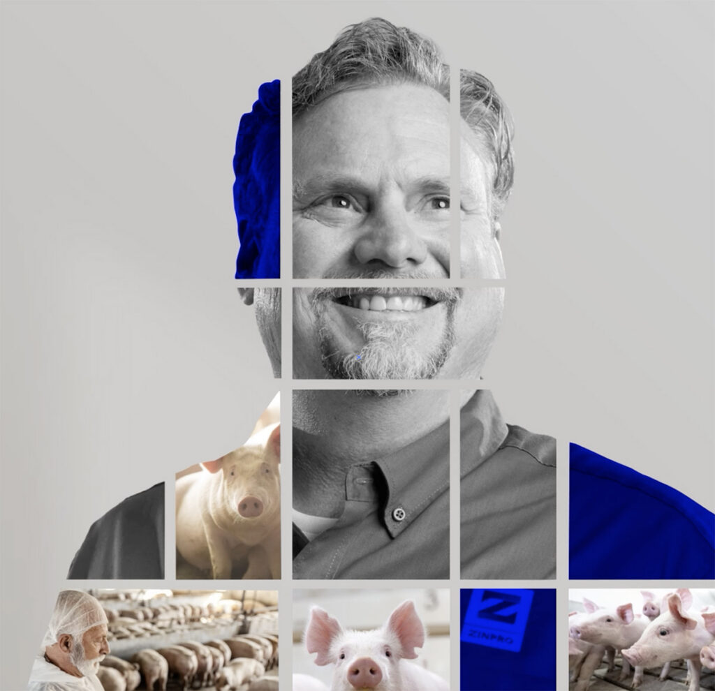 Andy Wuethrich Collage Andy Wuethrich