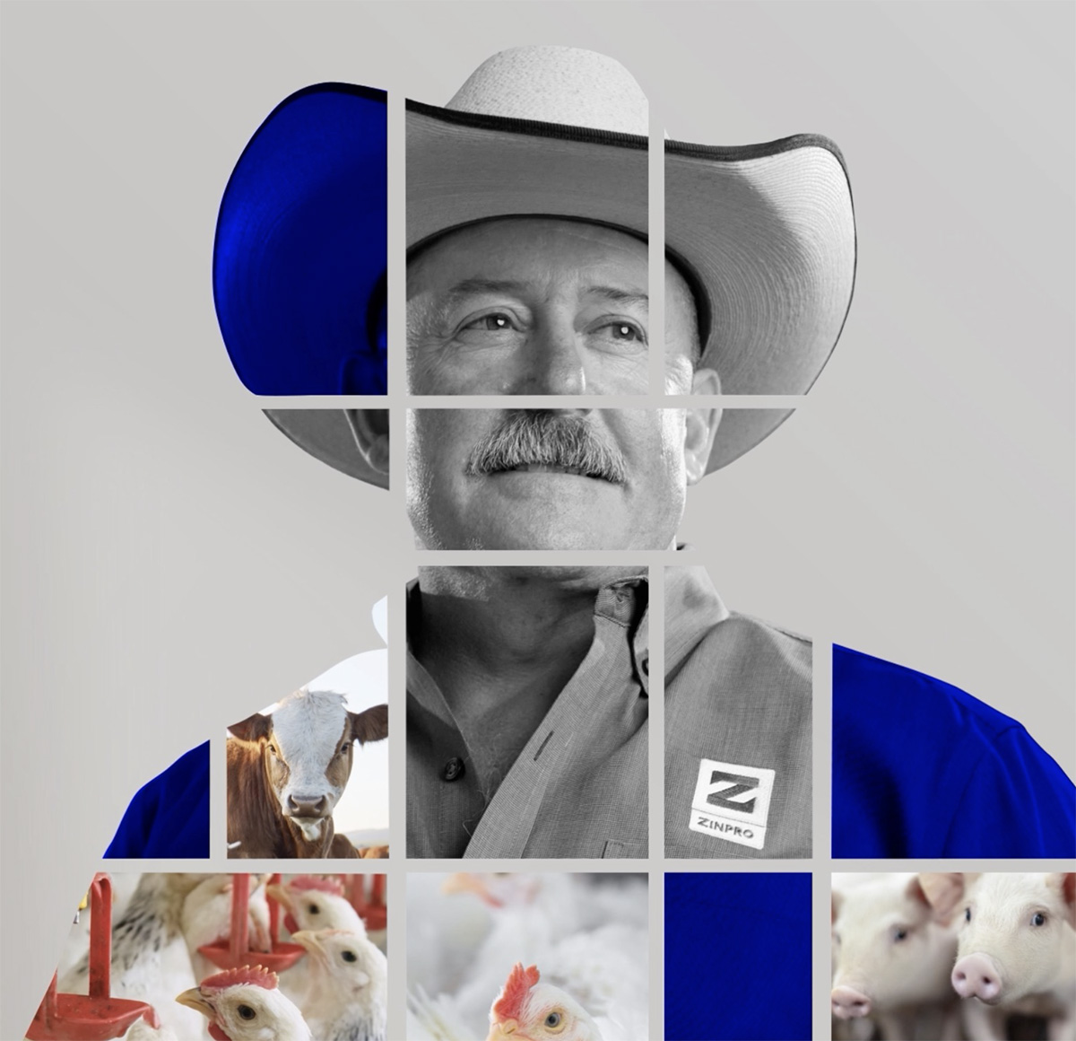 Lane Lott Collage