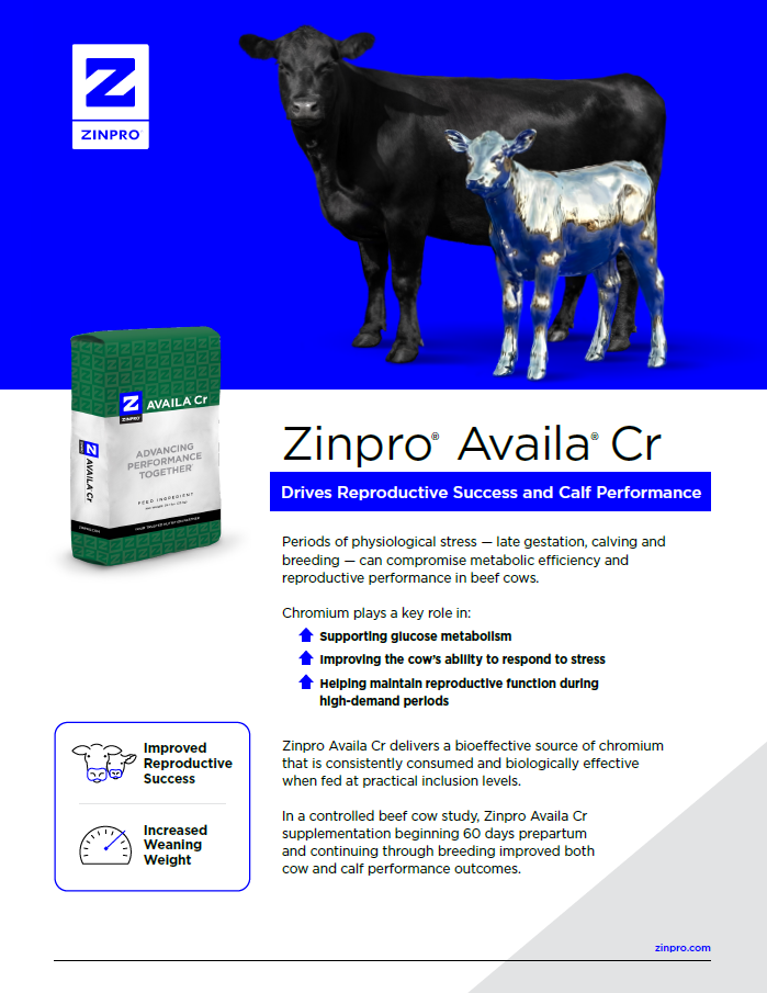 Cobertura Availa_Cr_Cow_Calf