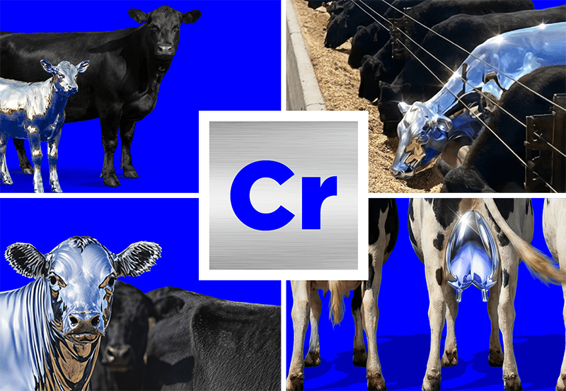 chromium_blog_page