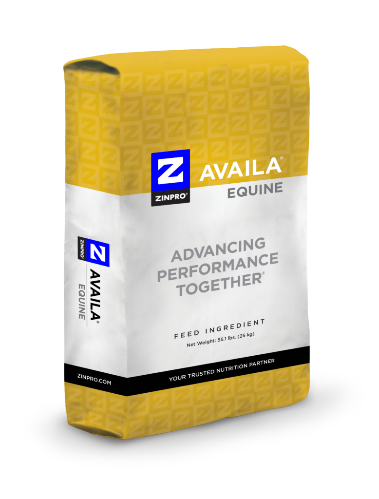 Availa Equine_BagMockup