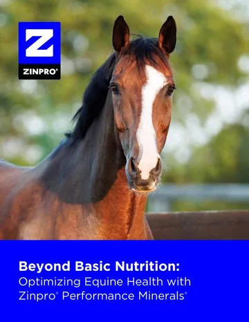 Cover of the Zinpro equine nutrition ebook